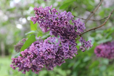 Similar image 22747951