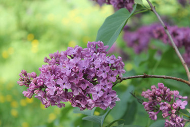 Similar image 22747953
