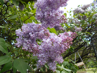 Similar image 22747954