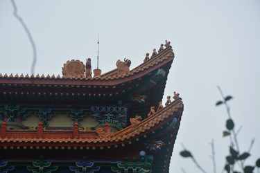 Similar image 22750793