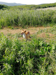Similar image 22747755