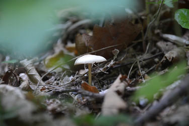 Similar image 22750796
