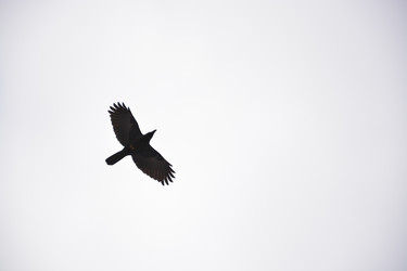Similar image 22747758