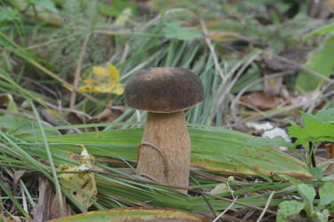 Similar image 22747714