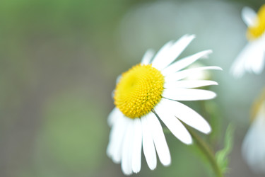 Similar image 22747725
