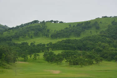 Similar image 22758802