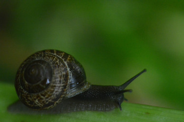 Similar image 22747727