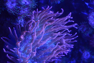Similar image 22750717