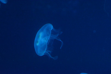 Similar image 22747729