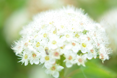 Similar image 22750719