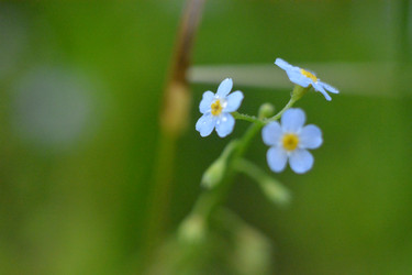 Similar image 22758817