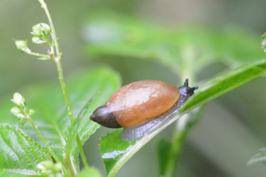 Similar image 22750758
