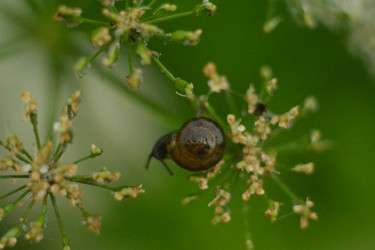 Similar image 22747742