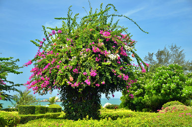Similar image 22759077
