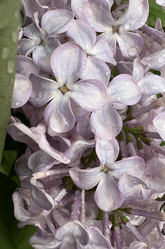 Similar image 22751863