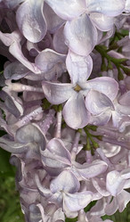 Similar image 22751867