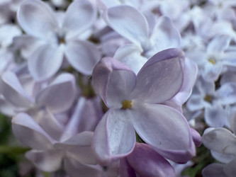Similar image 22751870