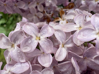 Similar image 22751873