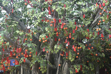 Similar image 22750778