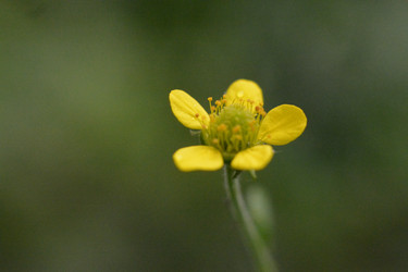 Similar image 22750797