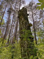 Similar image 22753791