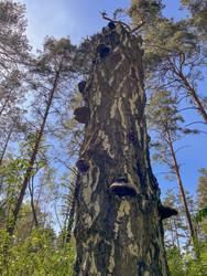 Similar image 22753792