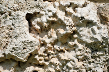 Similar image 22751453