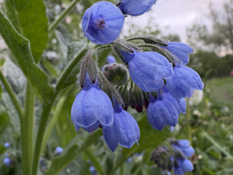 Similar image 22759212