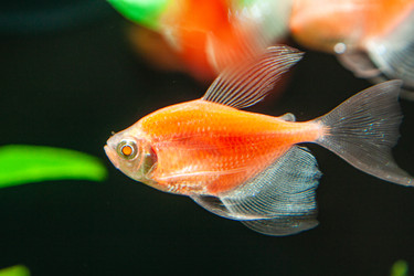 Similar image 22751845