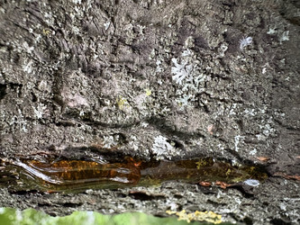 Similar image 22753966