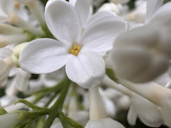 Similar image 22759215