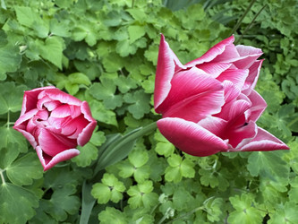 Similar image 22753968