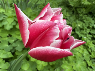 Similar image 22759216