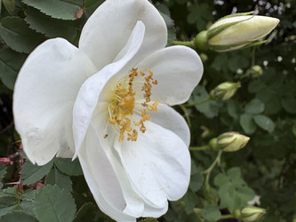 Similar image 22759218