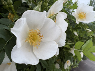 Similar image 22759229