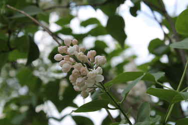 Similar image 22750744