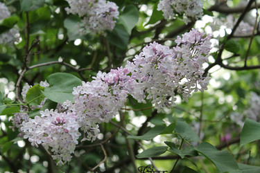 Similar image 22750745