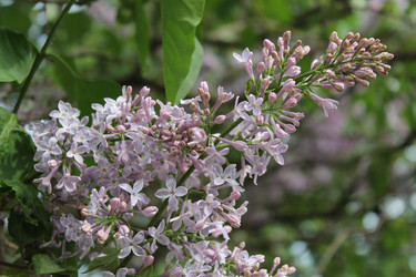 Similar image 22750748