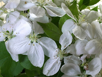 Similar image 22751882