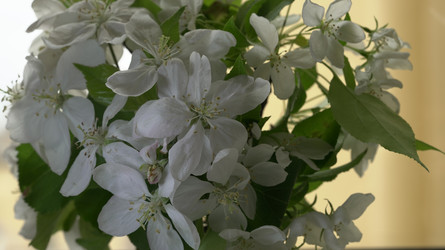 Similar image 22751884