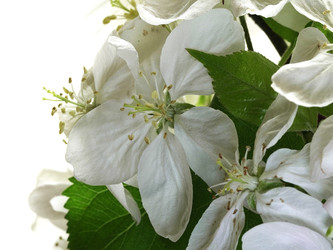 Similar image 22751886