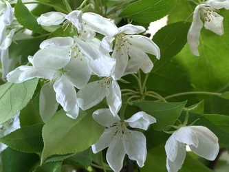 Similar image 22751887
