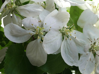 Similar image 22751894