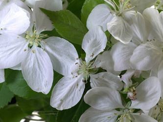 Similar image 22751896