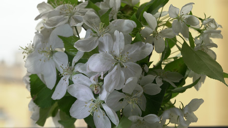 Similar image 22751897
