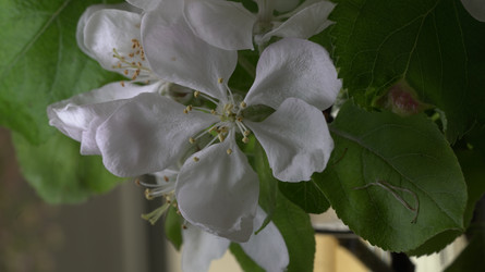 Similar image 22751898