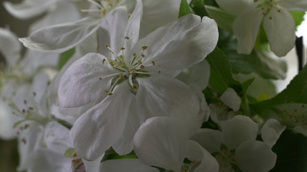Similar image 22751900