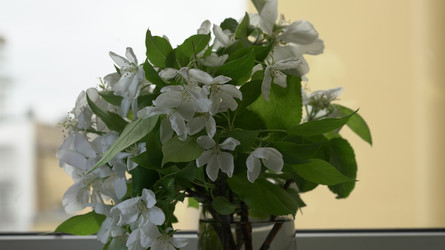 Similar image 22751901