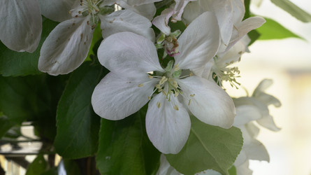 Similar image 22751903