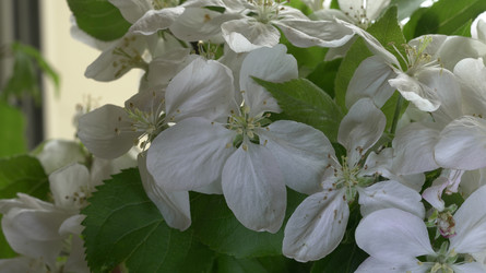 Similar image 22751904